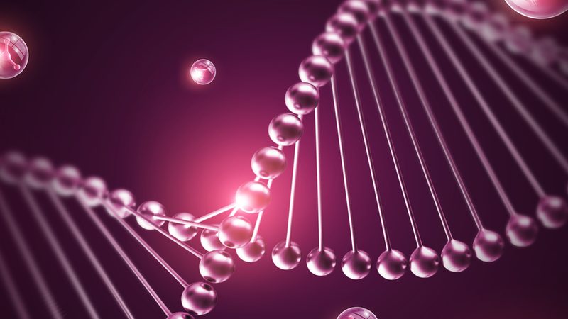 细胞培养基瓶：揭秘其批发价格背后的奥秘**