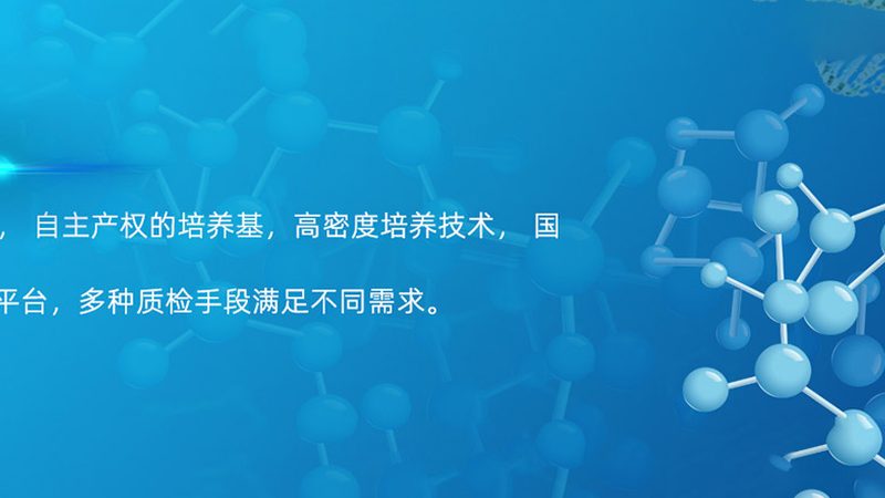 揭秘浙江脂肪酶生产：核心技术揭秘与选购要点
