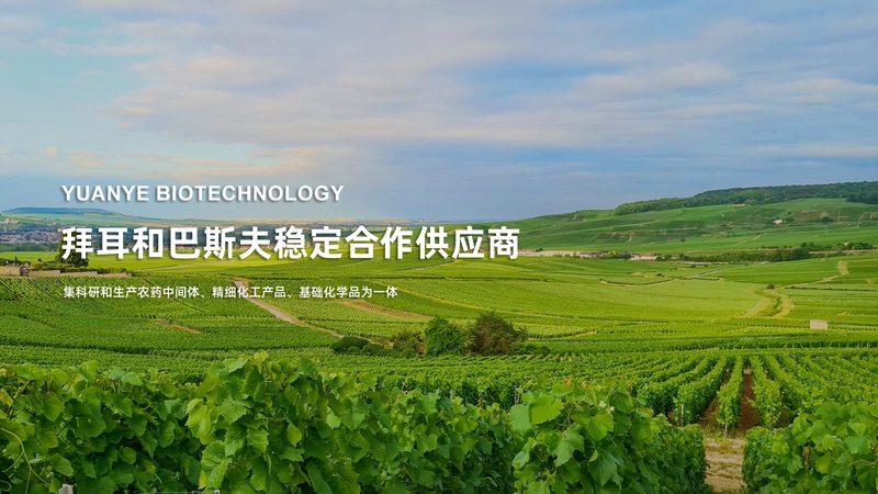 生物试剂采购合同模板：如何规避潜在风险**