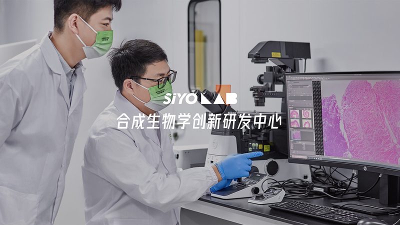 无血清培养基：价格之外，你还需要了解这些**