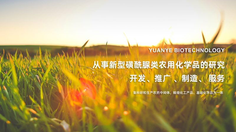 实验室耗材批发哪家性价比高
