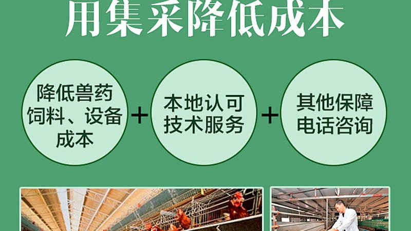 宠物抗体检测试剂盒安装，这些细节不能忽视**