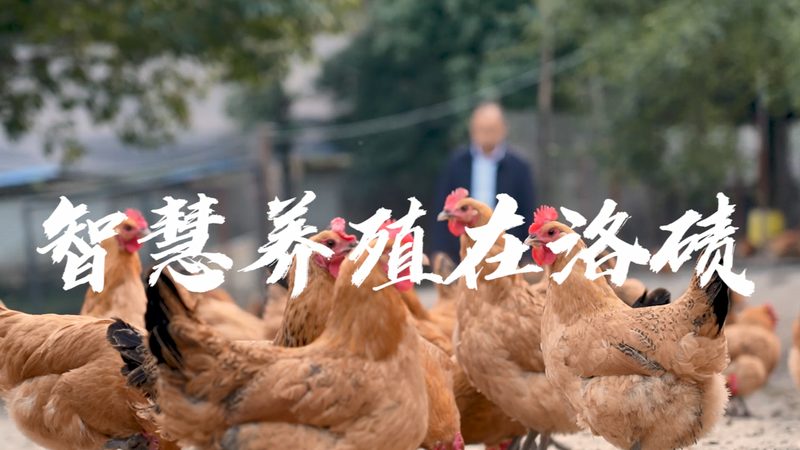 单道移液器：价格之外，你还需要了解这些**