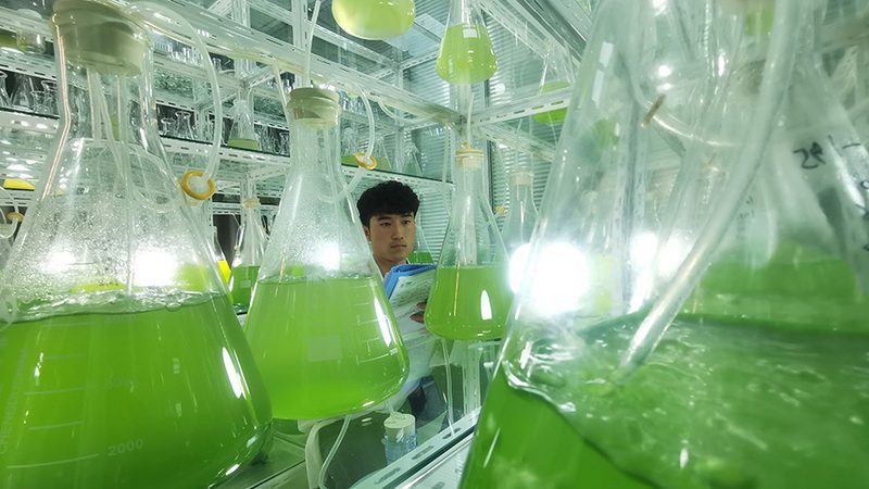 生物科技医疗应用：政策法规下的合规与创新